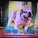 스카이닥터스 이미지