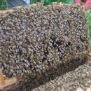 호운농장 이미지