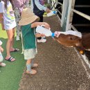 현성삼시세끼 | 아이 둘과 함께한 제주 여름 휴가 6박7일 기록