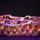 한국무용도라지 이미지