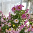 메디움천안요양병원 이미지