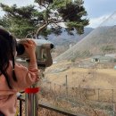 보은군장애인회관 | 충북 청주 아이와 가볼만한 곳 - 청주동물원 (2자녀 이상 가정 무료입장)