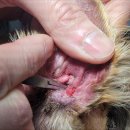 두리종합동물병원 이미지