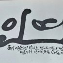 한실생고기 이미지