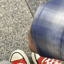 봄이 끝나부럿다 난 시작도 안해봤는데 . . . - 대전여행 -