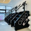 원스짐 레이디 종합운동장점 이미지