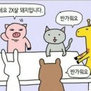러브후루 이미지