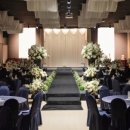 제주퍼시픽 이미지