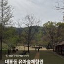 대흥동 유아숲체험원 | 대구 아이랑 갈만한 곳 모래놀이 숲 놀이터 대흥동 유아숲 체험원