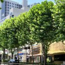 미래신경과의원 이미지