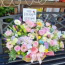 365게임랜드 이미지