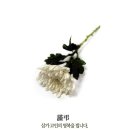 여수교동우체국 Daum카페