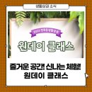 원클래스 태권도 이미지