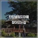 샘양지마을 이미지