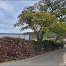 암태 송곡우실 이미지