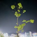 샘마루공원 테니스장 이미지