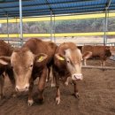 구인농장 이미지