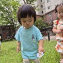 🏖 7월 2주 바깥놀이 & 자연친화활동 숲놀이 🏖 이미지