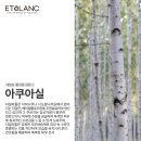 정민에스테틱
