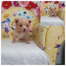 소답동225 이미지