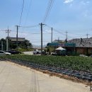 로맨틱큐브 B 이미지