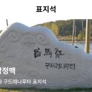 금산 인삼관 Daum카페