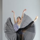 한국진채화 이미지