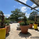 동네막국수 이미지