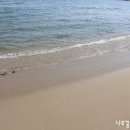 [속초,양양여행] 속초양양물치바닷가 -송이등대 이미지