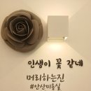 머리하는진