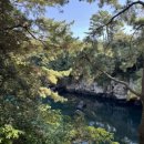 제미니국수 이미지