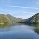 소나무와 호수 이미지