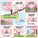 장관종합전문정비 | 영주 벚꽃 축제 및 영주 벚꽃 명소 BEST
