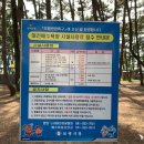 대천해수욕장 야영장 이미지