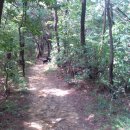 사방염소농장 이미지