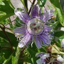 사계초등학교 이미지