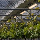 원대시장 이미지