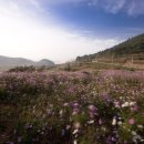 슬로시티청산도 이미지