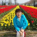 김혜호 네이버블로그