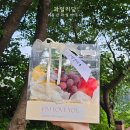 과일리담 | 울산 과일바구니 인사 선물 추천 성안동 과일리담