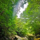 흥정계곡캠핑700 | 흥정계곡 캠핑 700 캠핑장 후기｜실제 다녀온 솔직 리뷰 [240810~240812]