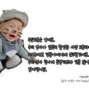 콩심 발산점 네이버블로그