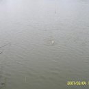 우리낚시터 이미지