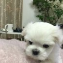 인사동옷집