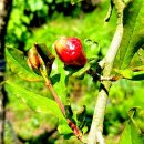 점암농장 이미지