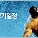 [펌]2009 세계수영선수권 - 박태환선수 경기 일정 이미지