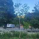 백담설화캠핑장 이미지