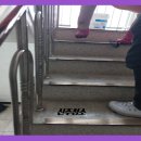 호산나 클린