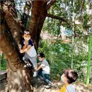 센트럴유치원 이미지