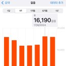 브리즈번 102 이미지